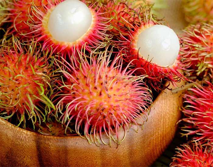 Cach-chon-chom-chom-nhan